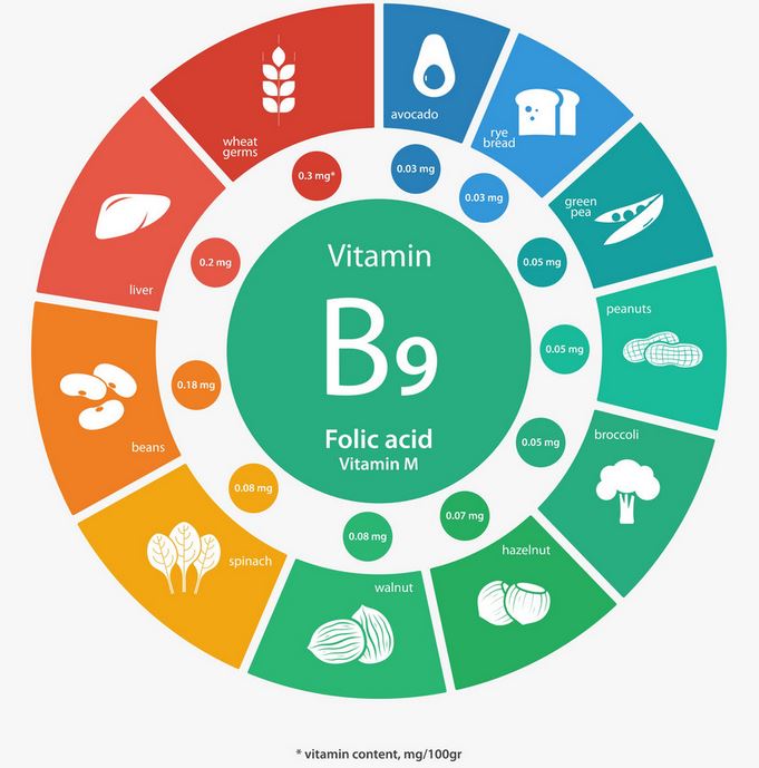 A B9-vitamin, más néven folát